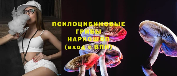 молекула духа Липки