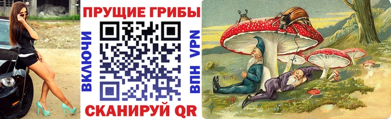 Псилоцибиновые грибы Psilocybine cubensis блэк спрут tor Афипский